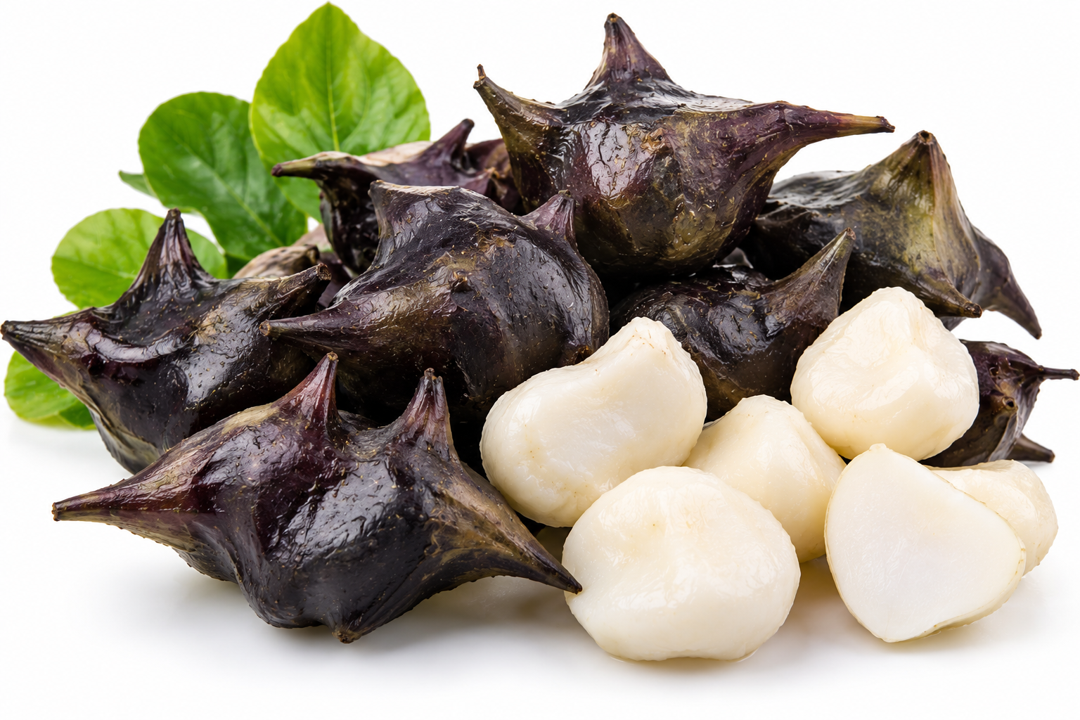 Water Chestnut